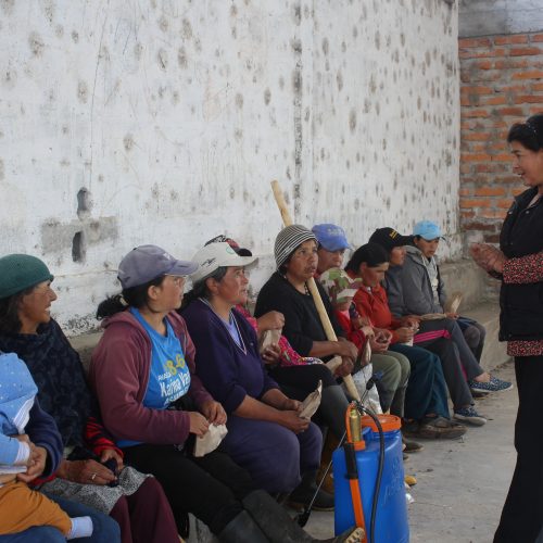 PARTICIPACION CIUDADANA