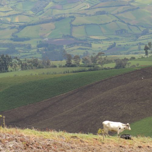 ZONA RURAL