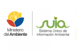 http://consultoradavila.com/wp-content/uploads/2018/09/1-300x200.png